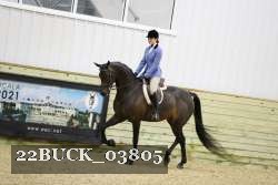 22BUCK_03805 proof