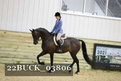 22BUCK_03806 proof