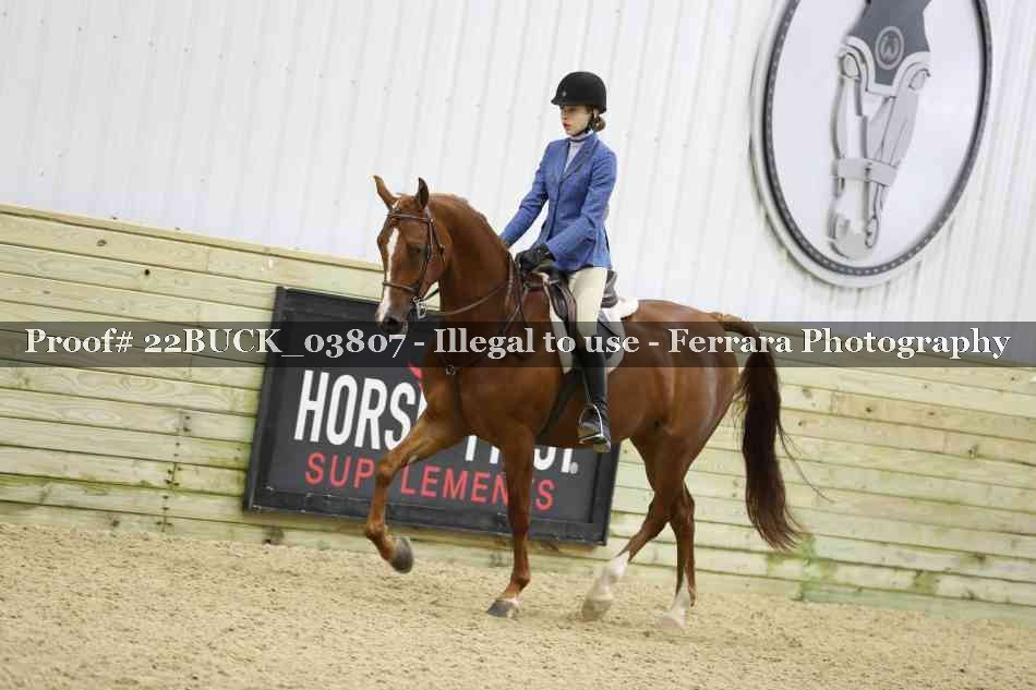 Proof 22BUCK_03807