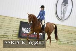 22BUCK_03807 proof