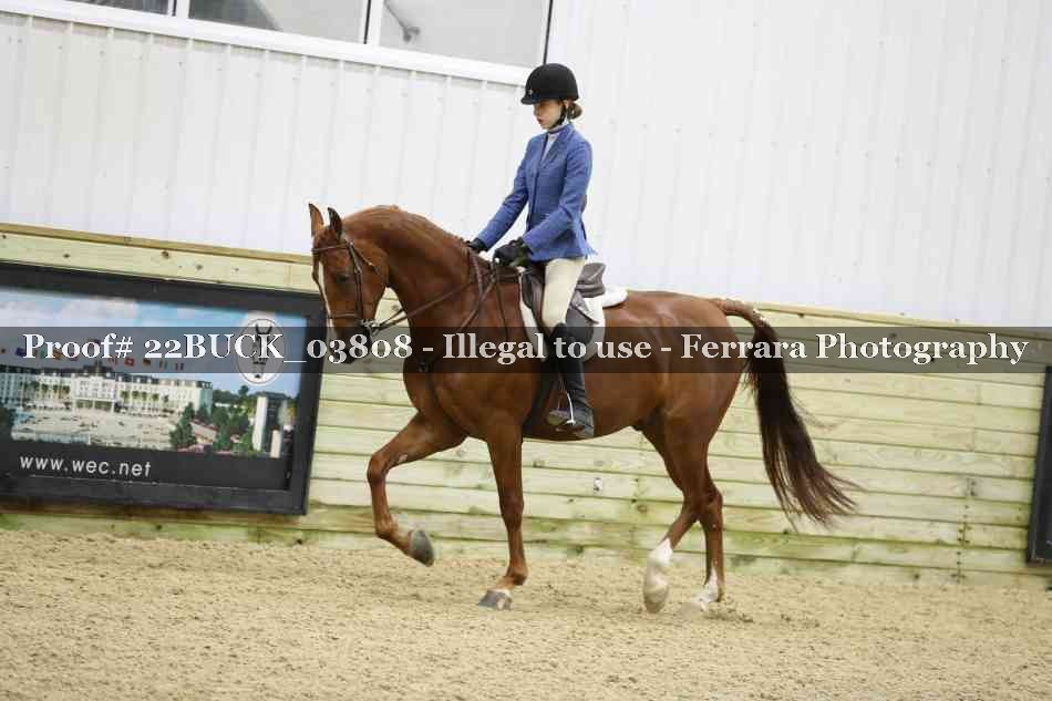Proof 22BUCK_03808