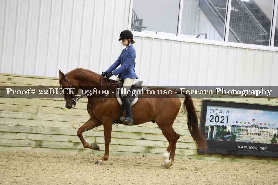Proof 22BUCK_03809