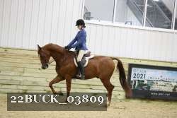 22BUCK_03809 proof