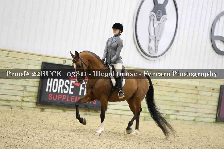 Proof 22BUCK_03811