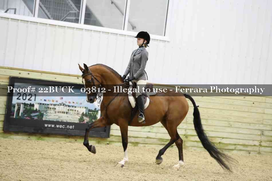 Proof 22BUCK_03812