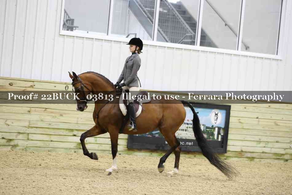 Proof 22BUCK_03813