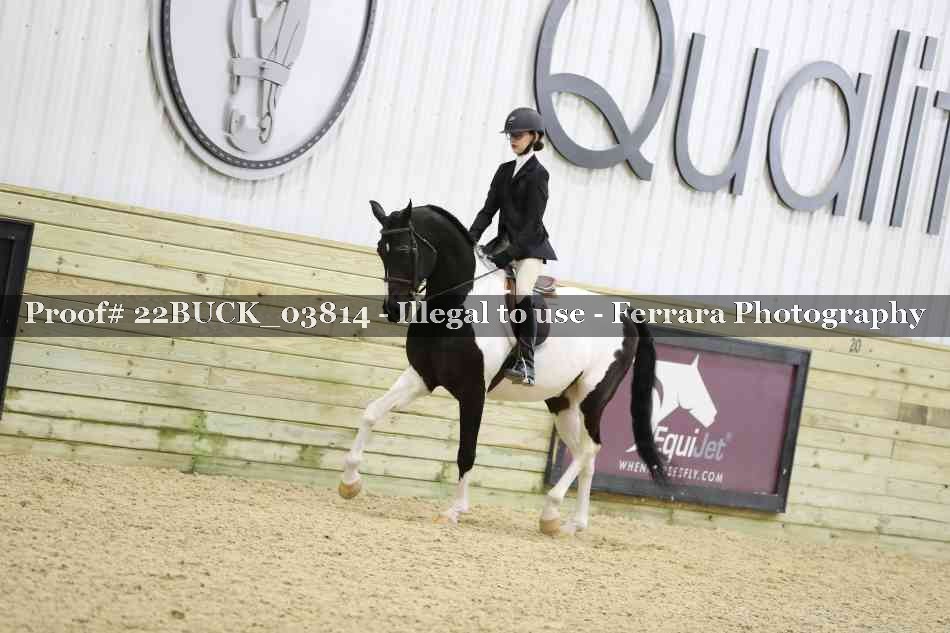 Proof 22BUCK_03814
