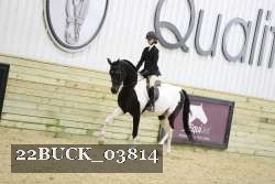 22BUCK_03814 proof