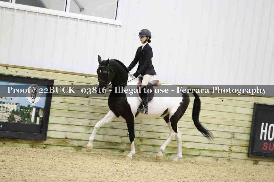 Proof 22BUCK_03816