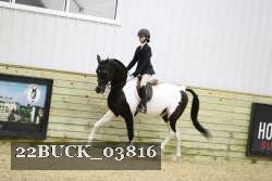 22BUCK_03816 proof