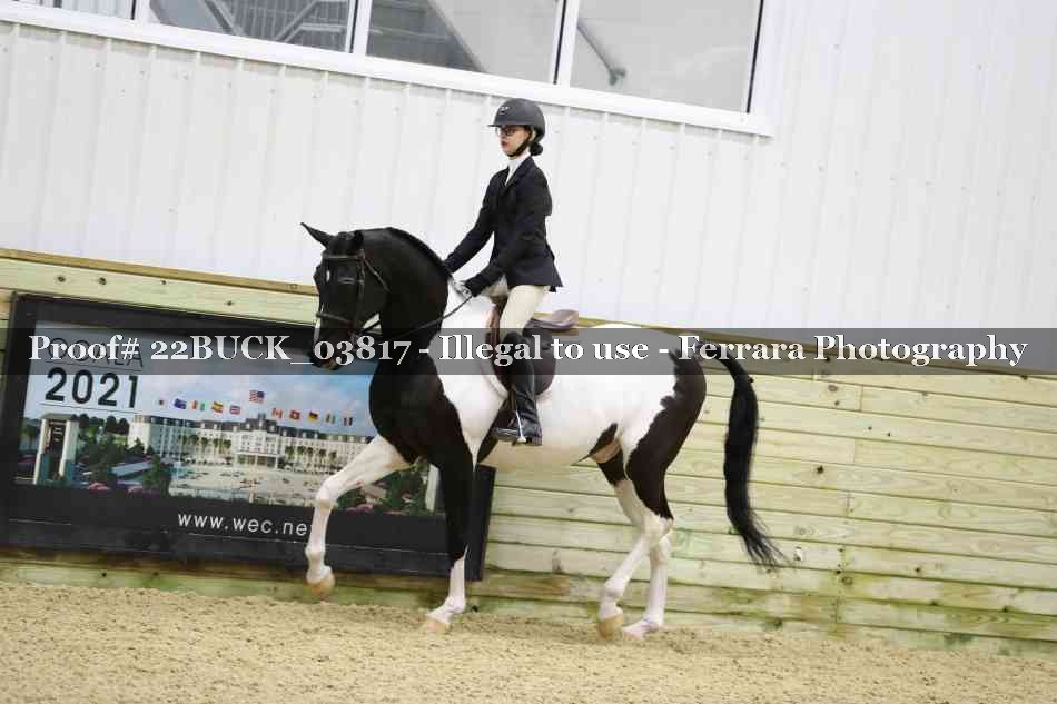 Proof 22BUCK_03817