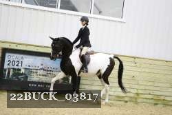 22BUCK_03817 proof