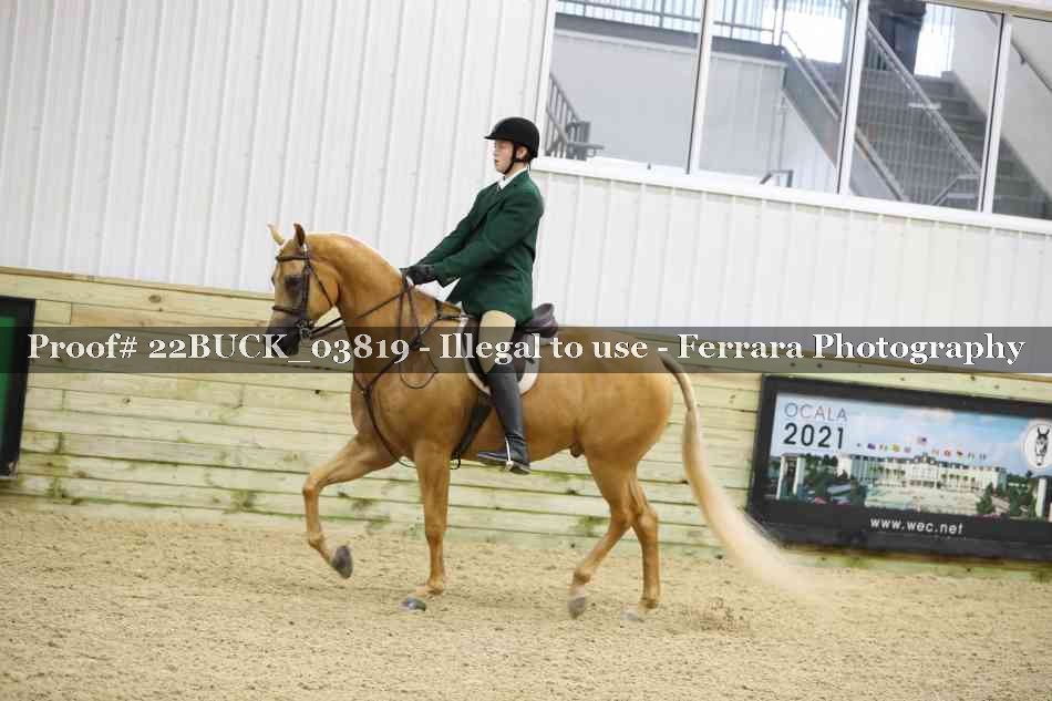 Proof 22BUCK_03819