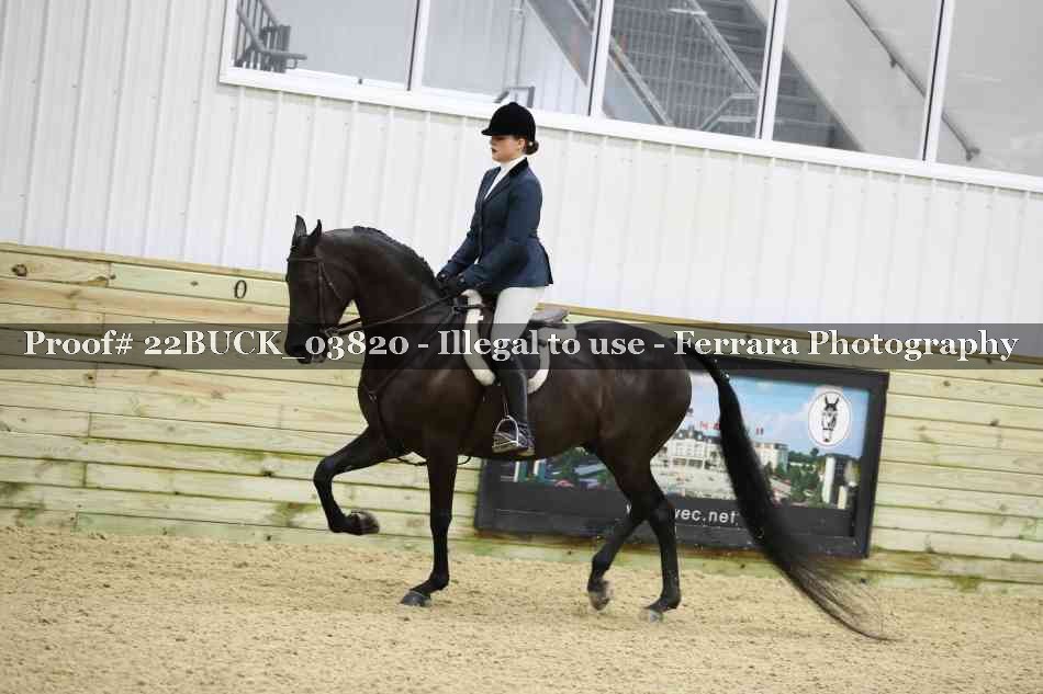 Proof 22BUCK_03820