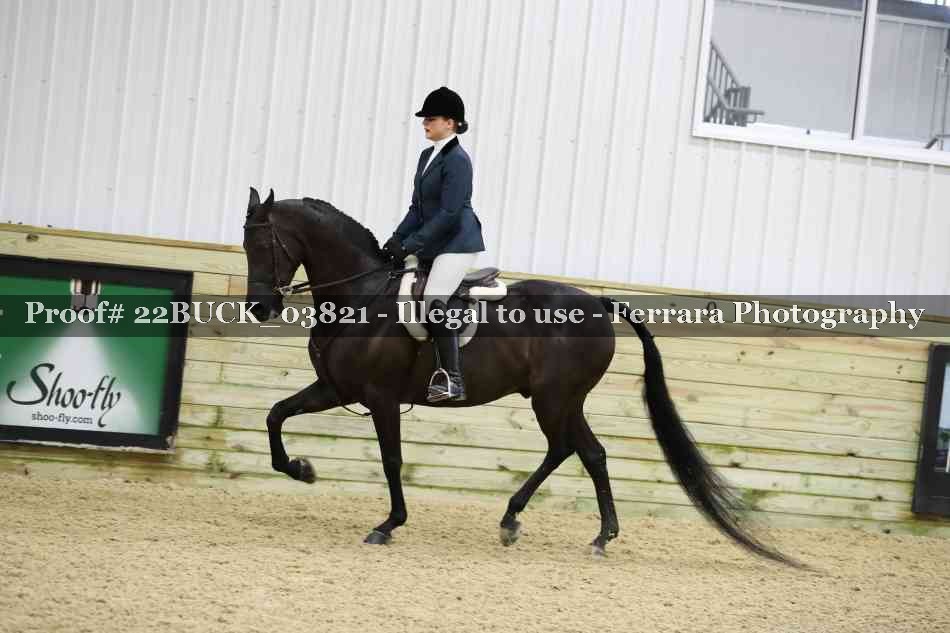 Proof 22BUCK_03821