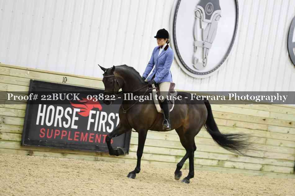 Proof 22BUCK_03822