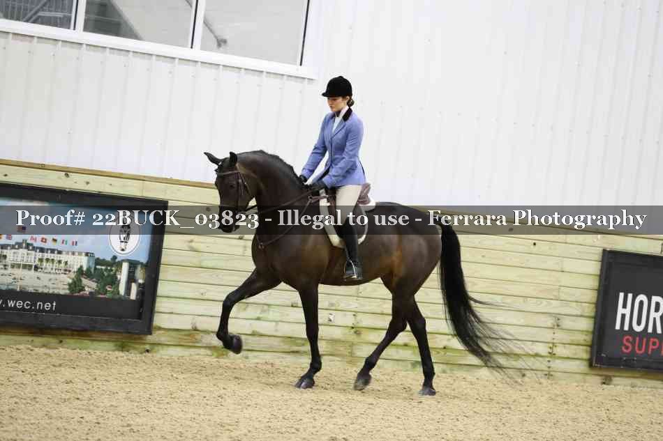 Proof 22BUCK_03823