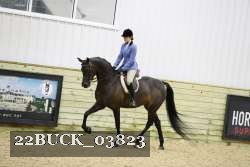 22BUCK_03823 proof