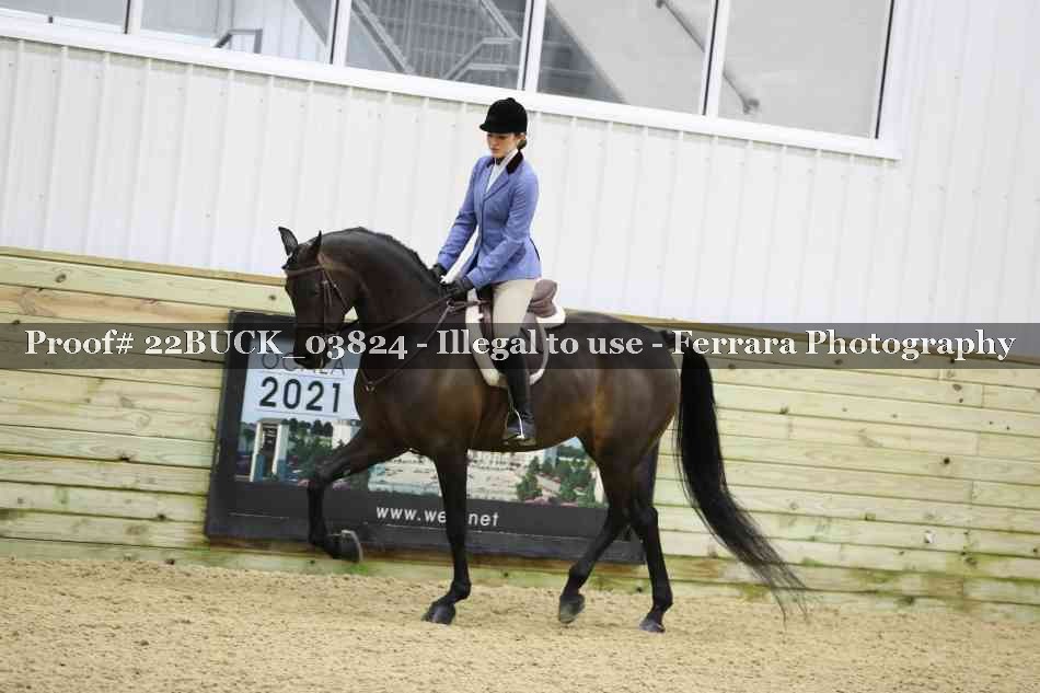 Proof 22BUCK_03824