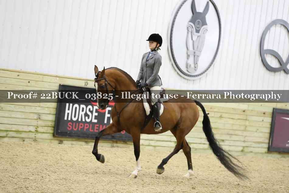 Proof 22BUCK_03825