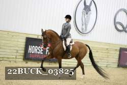22BUCK_03825 proof