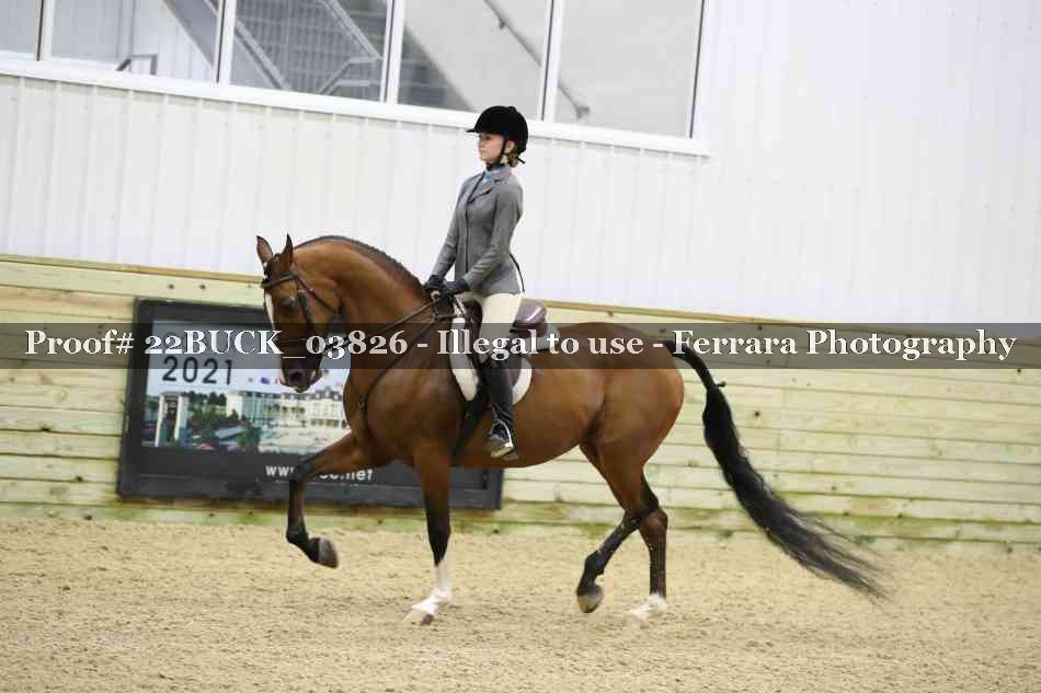 Proof 22BUCK_03826