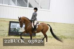 22BUCK_03826 proof