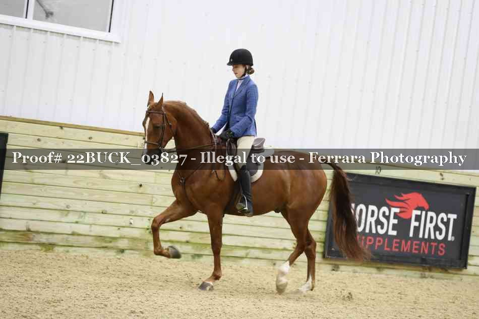 Proof 22BUCK_03827