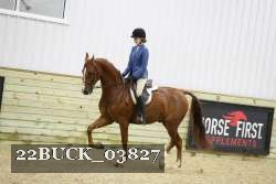 22BUCK_03827 proof