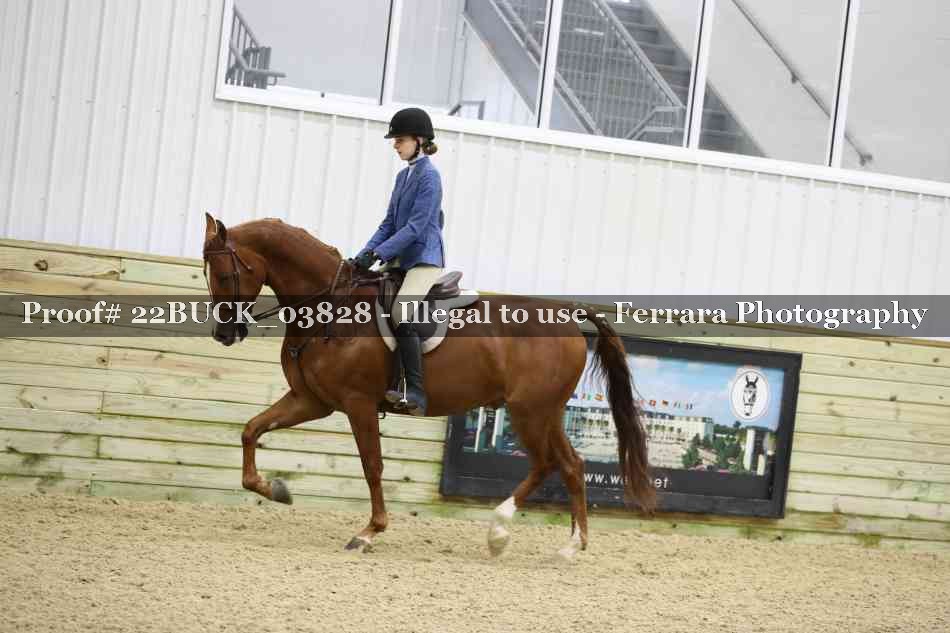 Proof 22BUCK_03828