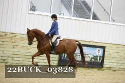 22BUCK_03828 proof