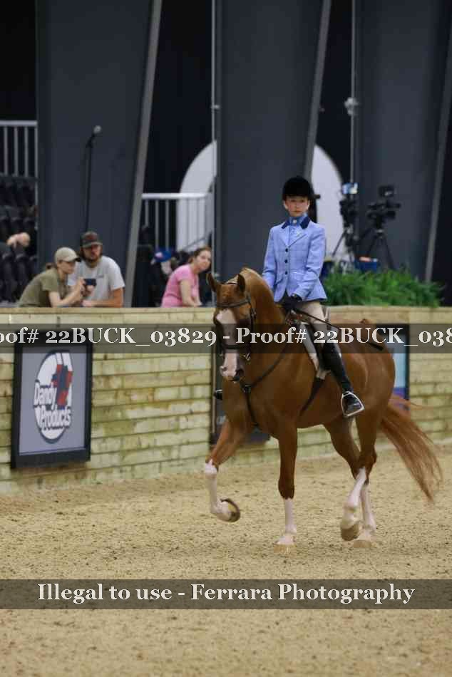 Proof 22BUCK_03829