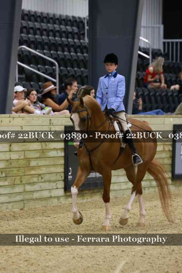 Proof 22BUCK_03830