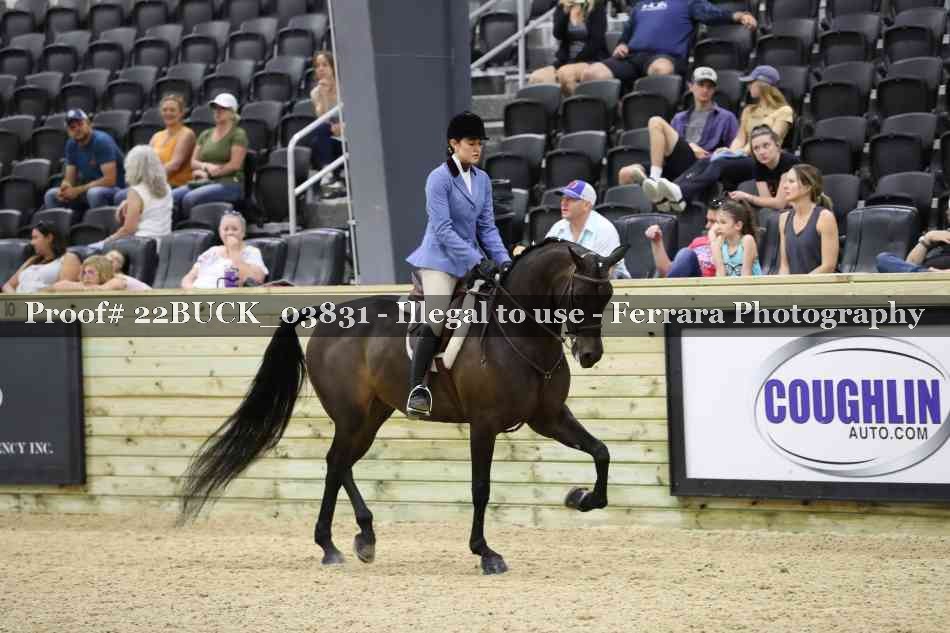 Proof 22BUCK_03831