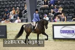 22BUCK_03831 proof