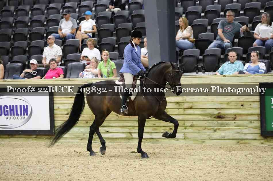 Proof 22BUCK_03832