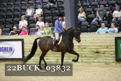 22BUCK_03832 proof