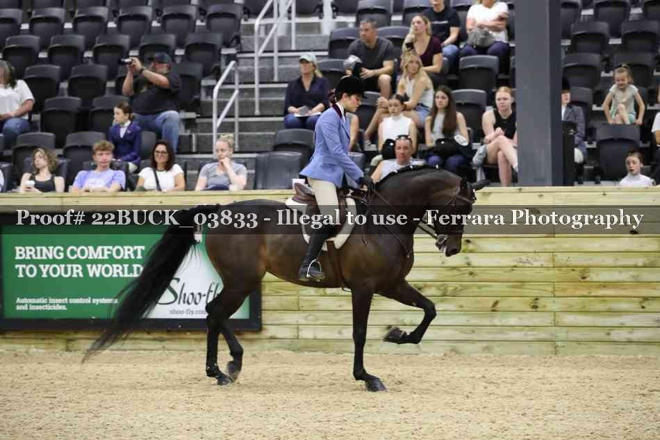 Proof 22BUCK_03833