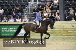 22BUCK_03833 proof