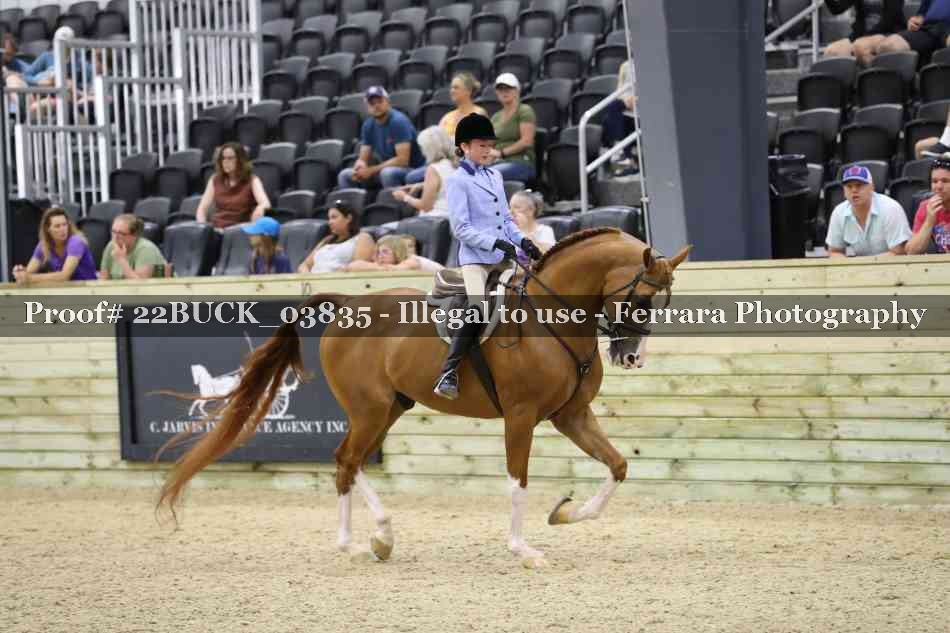 Proof 22BUCK_03835