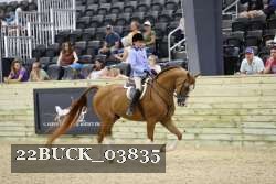 22BUCK_03835 proof