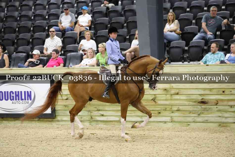 Proof 22BUCK_03836