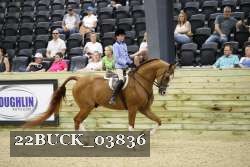 22BUCK_03836 proof