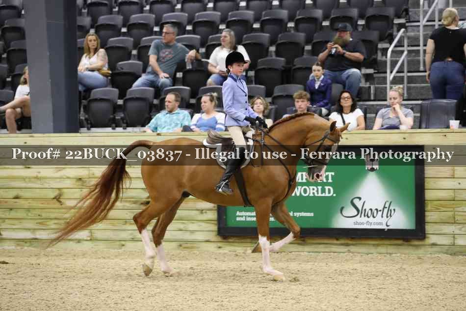 Proof 22BUCK_03837