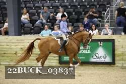 22BUCK_03837 proof