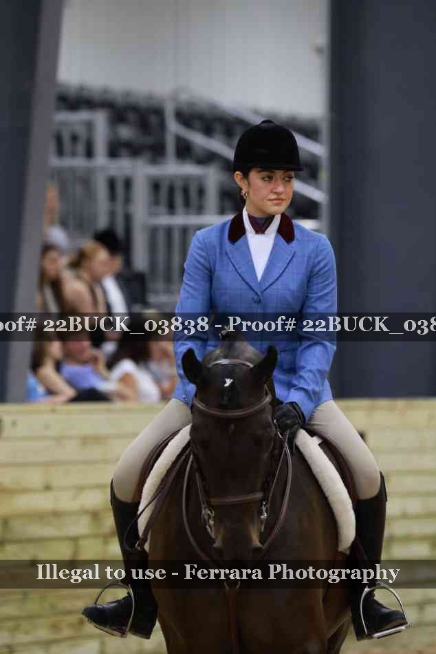 Proof 22BUCK_03838