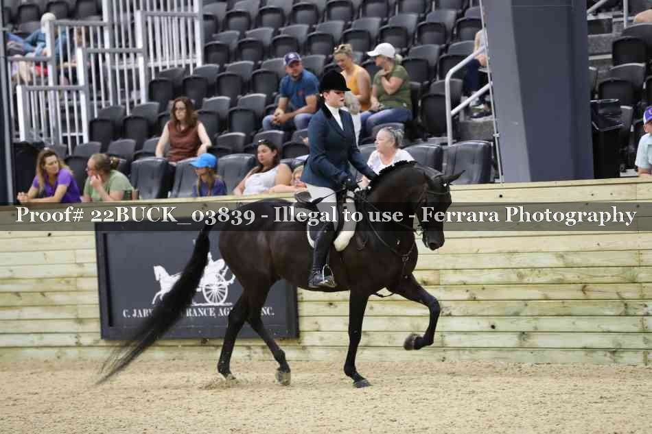 Proof 22BUCK_03839