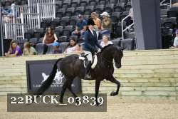 22BUCK_03839 proof