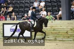 22BUCK_03840 proof
