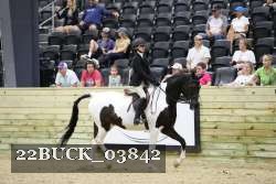 22BUCK_03842 proof